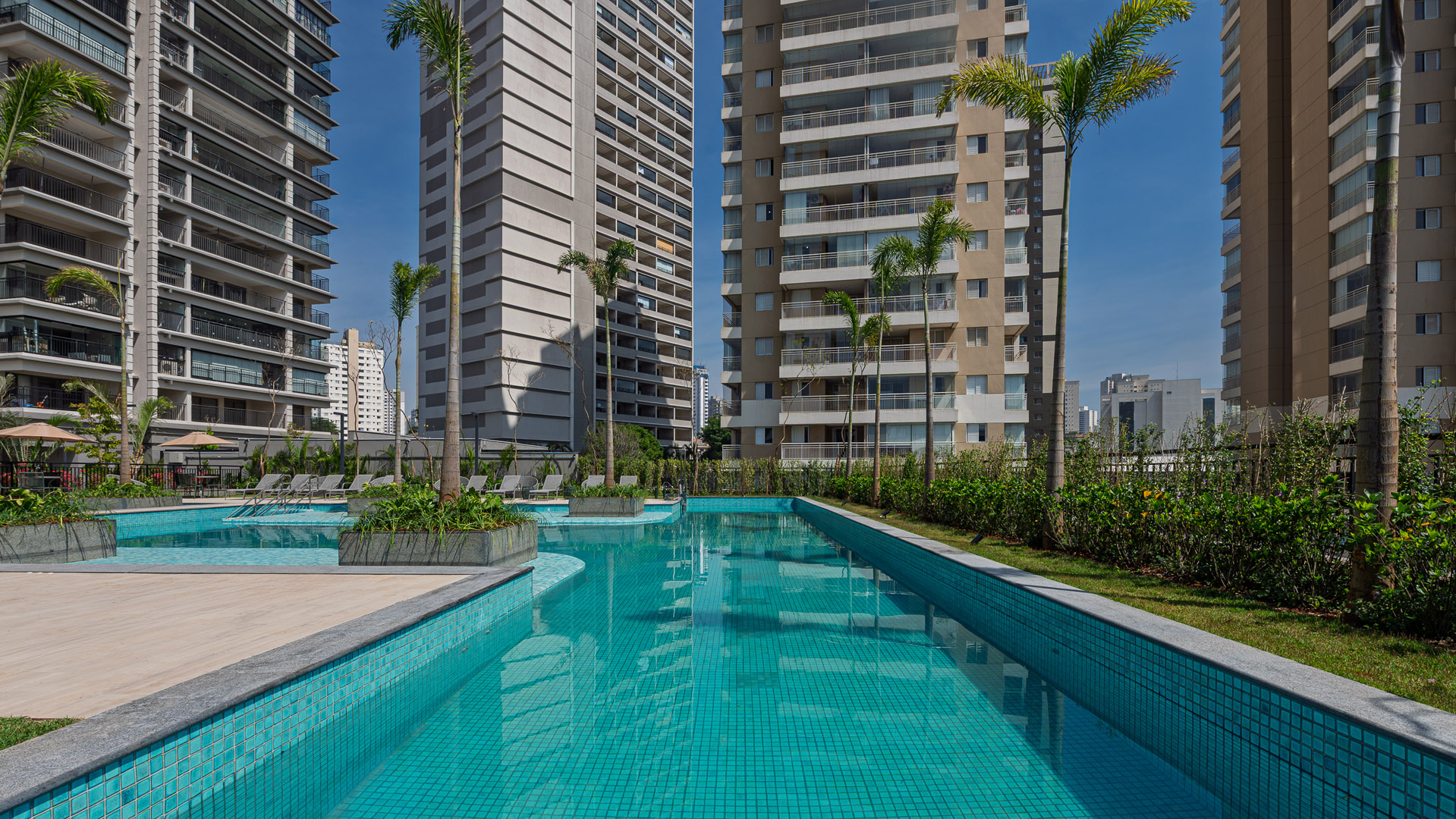 Wonder Ipiranga - foto 3